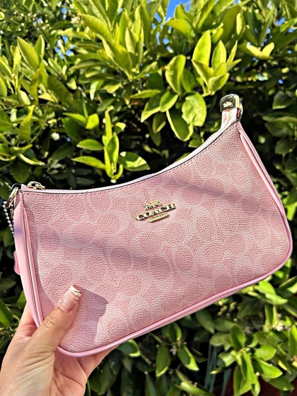 Coach teri pink monogram bag new